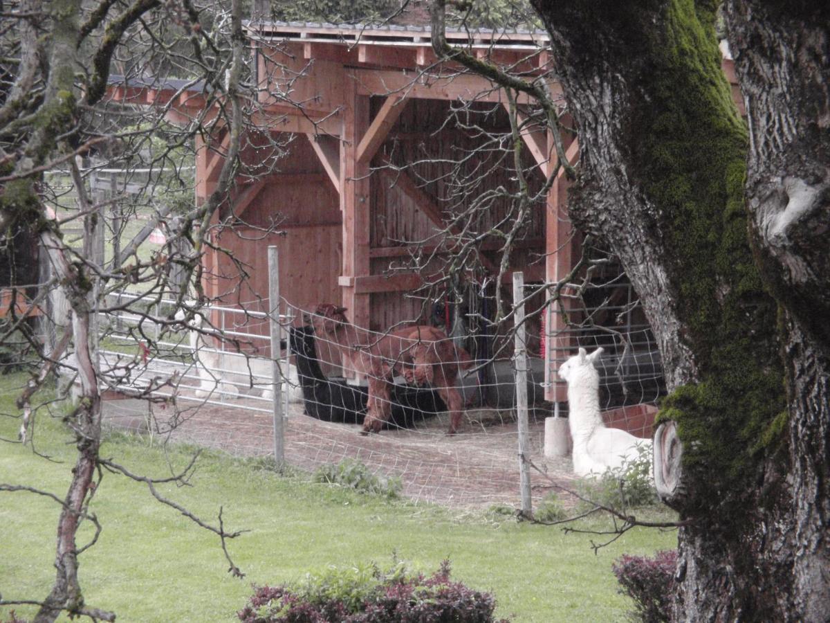 Pension Alpenhaus Vorderstoder Zewnętrze zdjęcie