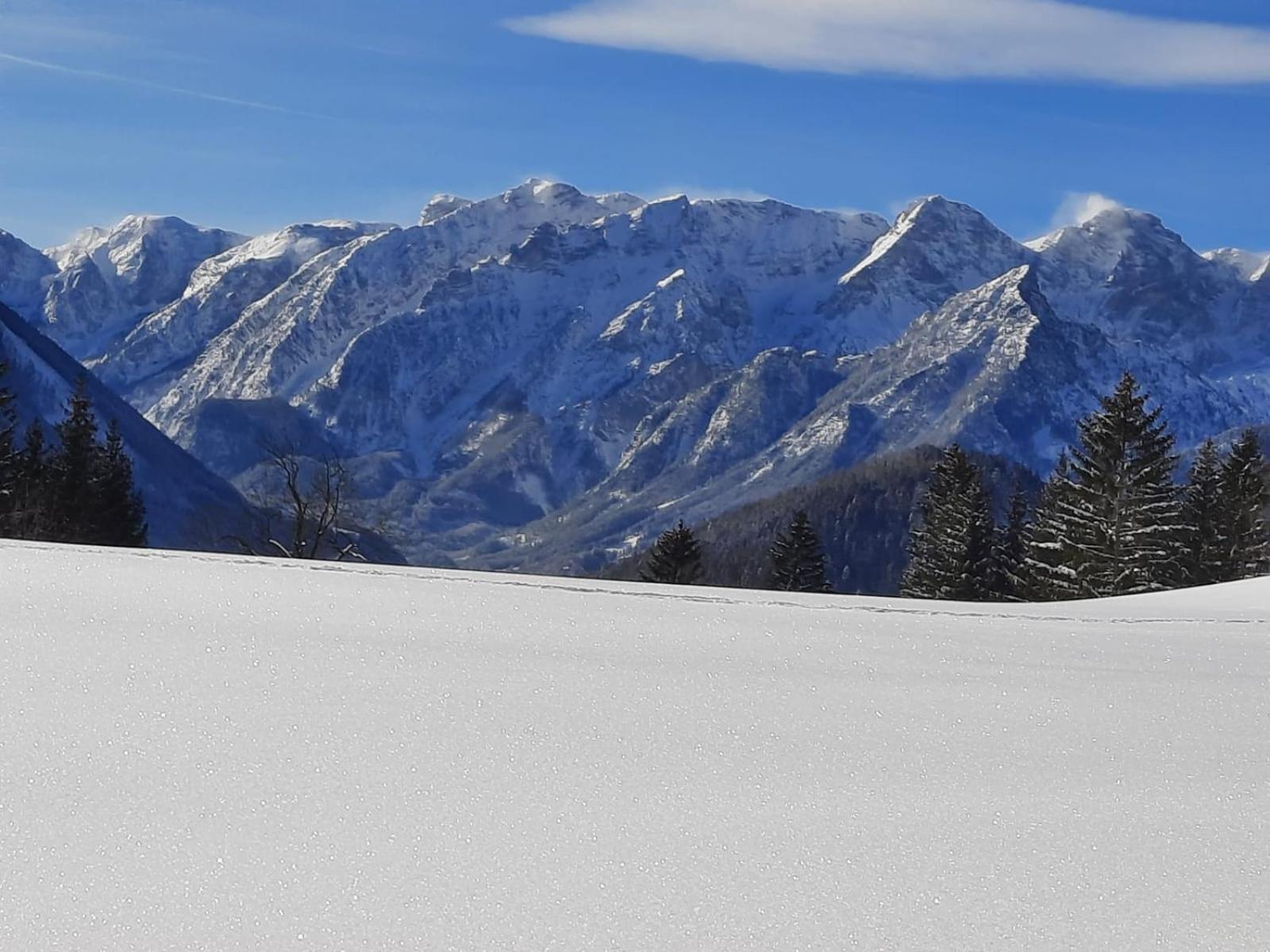Pension Alpenhaus Vorderstoder Zewnętrze zdjęcie