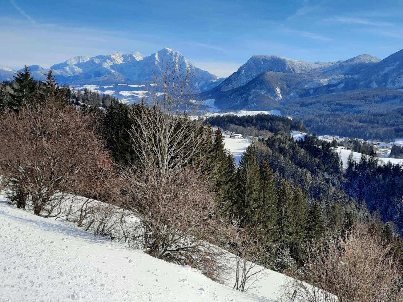 Pension Alpenhaus Vorderstoder Zewnętrze zdjęcie